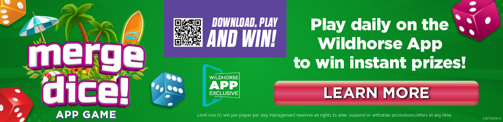 Wild Fun APP Game