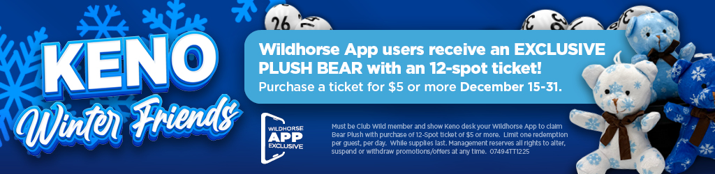 Keno Winter Friends Plush Bear